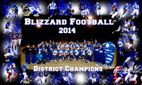 District Champions 2014 Poster